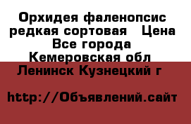 Орхидея фаленопсис редкая сортовая › Цена ­ 800 - Все города  »    . Кемеровская обл.,Ленинск-Кузнецкий г.